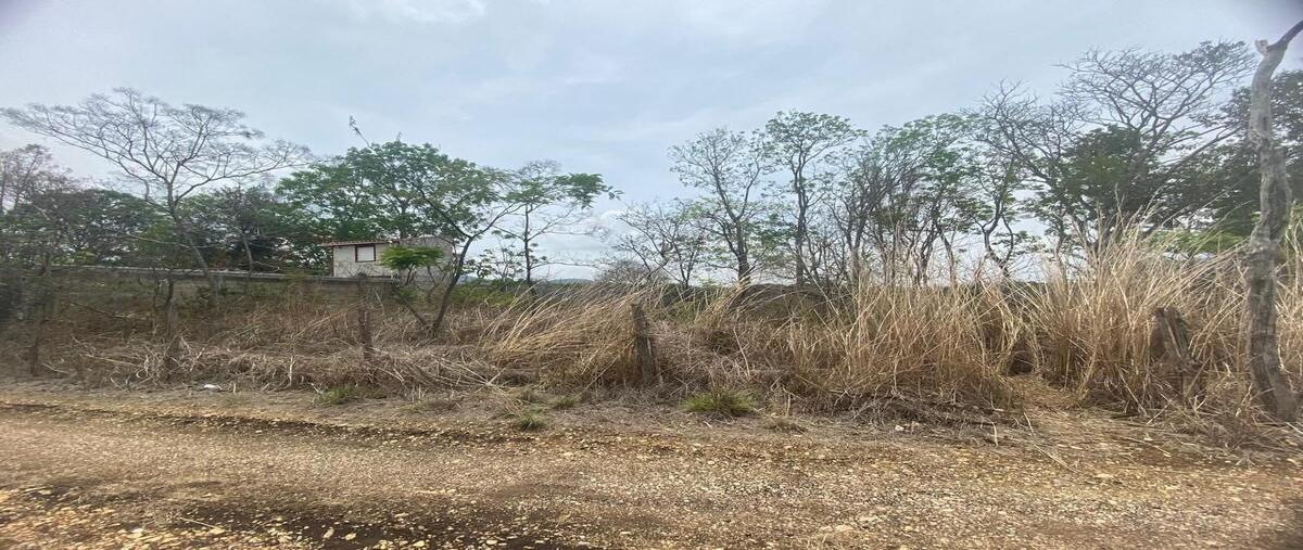 Foto de terreno habitacional en carretera panamericana , lindos aires, berriozábal, chiapas, 0 foto 01 Foto de terreno habitacional en venta en carretera panamericana , lindos aires, berriozábal, chiapas, 0 No. 01