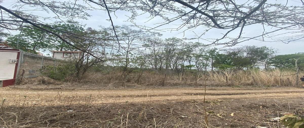 Foto de terreno habitacional en carretera panamericana , lindos aires, berriozábal, chiapas, 0 foto 02 Foto de terreno habitacional en venta en carretera panamericana , lindos aires, berriozábal, chiapas, 0 No. 02