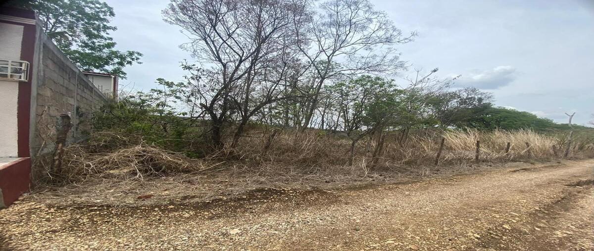 Foto de terreno habitacional en carretera panamericana , lindos aires, berriozábal, chiapas, 0 foto 04 Foto de terreno habitacional en venta en carretera panamericana , lindos aires, berriozábal, chiapas, 0 No. 04