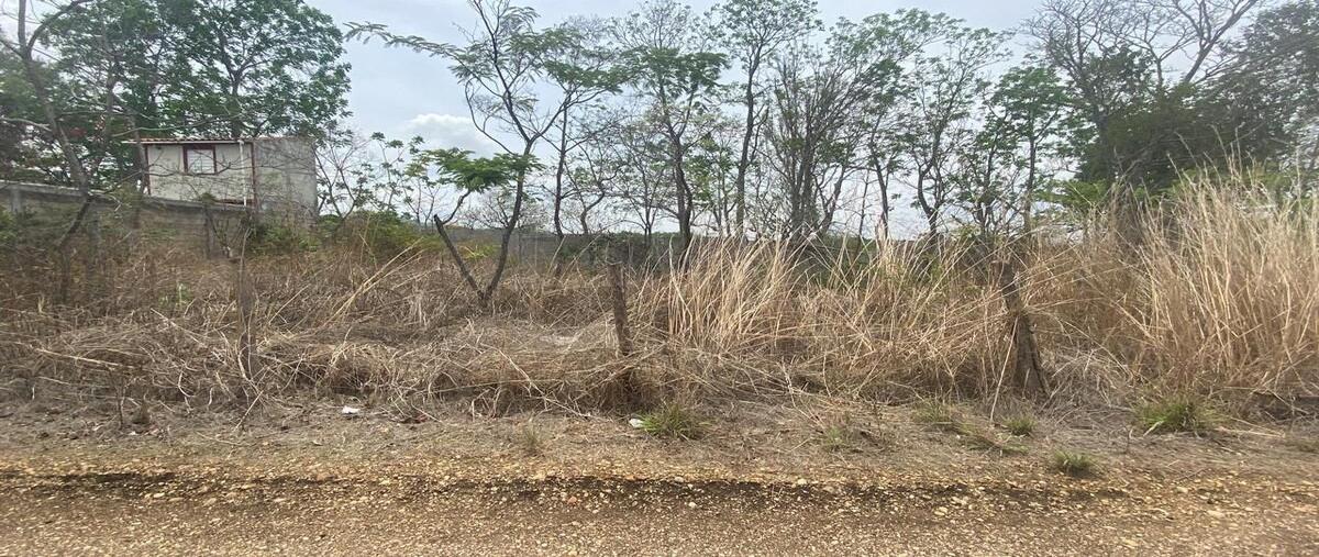 Foto de terreno habitacional en carretera panamericana , lindos aires, berriozábal, chiapas, 0 foto 05 Foto de terreno habitacional en venta en carretera panamericana , lindos aires, berriozábal, chiapas, 0 No. 05