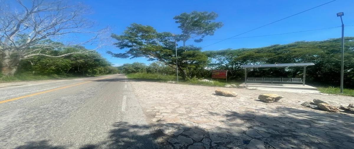 Foto de terreno habitacional en carretera panamericana , san antonio bombano, berriozábal, chiapas, 27692950 foto 01 Foto de terreno habitacional en venta en carretera panamericana , san antonio bombano, berriozábal, chiapas, 27692950 No. 01