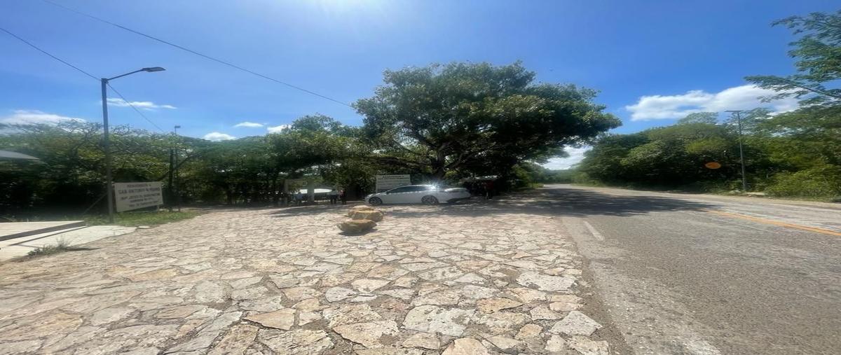 Foto de terreno habitacional en carretera panamericana , san antonio bombano, berriozábal, chiapas, 27692950 foto 02 Foto de terreno habitacional en venta en carretera panamericana , san antonio bombano, berriozábal, chiapas, 27692950 No. 02