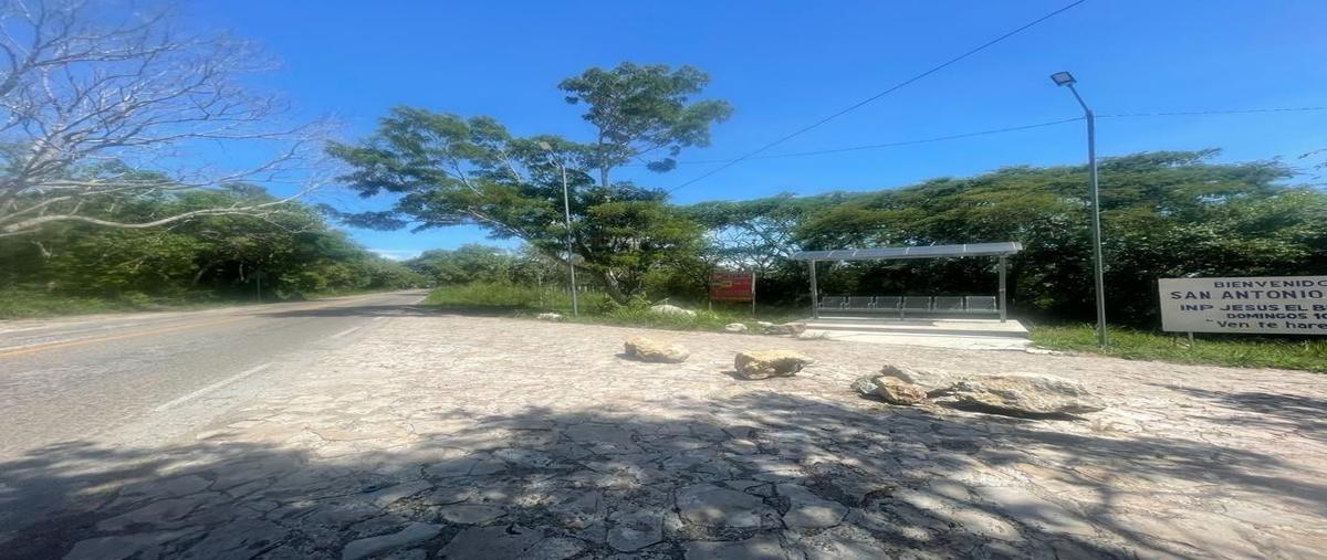 Foto de terreno habitacional en carretera panamericana , san antonio bombano, berriozábal, chiapas, 27692950 foto 03 Foto de terreno habitacional en venta en carretera panamericana , san antonio bombano, berriozábal, chiapas, 27692950 No. 03