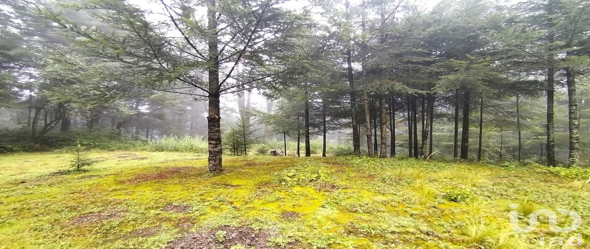Foto de terreno habitacional en venta en carretera panoramica ajusco , san miguel ajusco, tlalpan, df / cdmx, 0 No. 03
