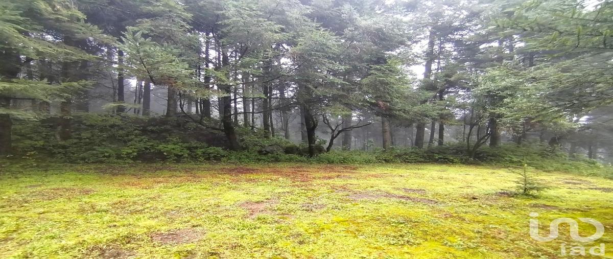 Foto de terreno habitacional en venta en carretera panoramica ajusco , san miguel ajusco, tlalpan, df / cdmx, 0 No. 04