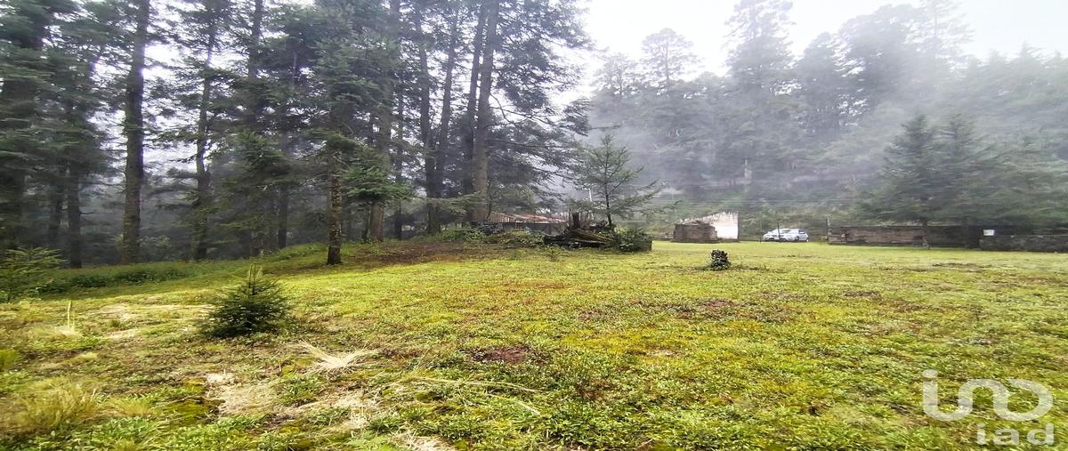 Foto de terreno habitacional en venta en carretera panoramica ajusco , san miguel ajusco, tlalpan, df / cdmx, 0 No. 05