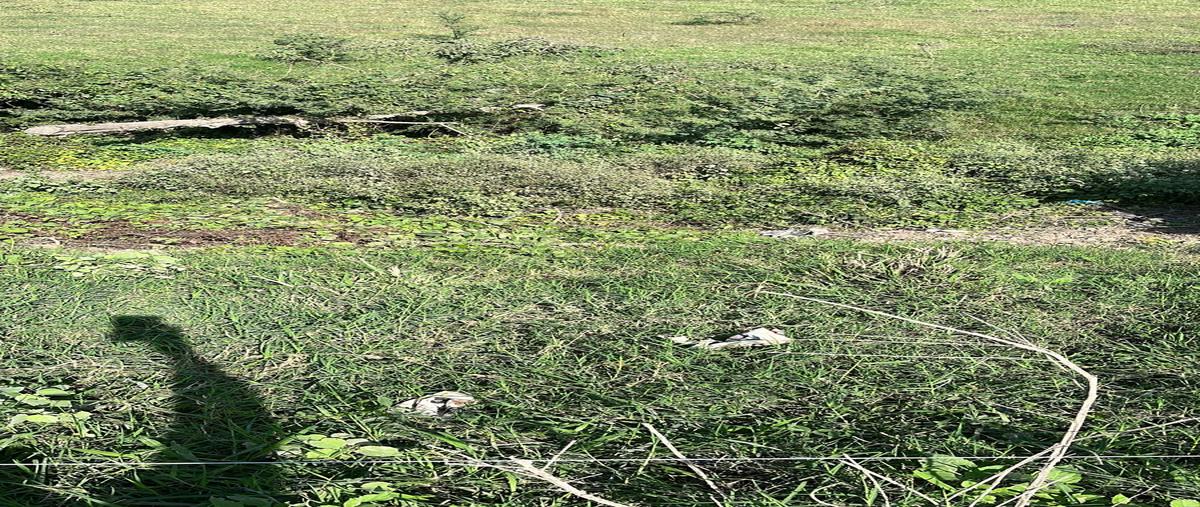 Foto de terreno comercial en carretera panuco - tempoal , panuco centro, pánuco, veracruz de ignacio de la llave, 28174756 foto 04 Foto de terreno comercial en venta en carretera panuco - tempoal , panuco centro, pánuco, veracruz de ignacio de la llave, 28174756 No. 04