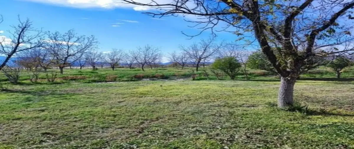 Foto de terreno habitacional en venta en carretera parras-paila lote 3, parras de la fuente centro, parras, coahuila de zaragoza, 0 No. 04