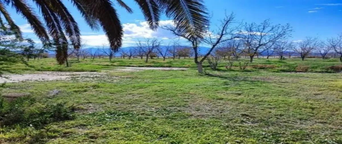 Foto de terreno habitacional en venta en carretera parras-paila lote 3, parras de la fuente centro, parras, coahuila de zaragoza, 0 No. 05
