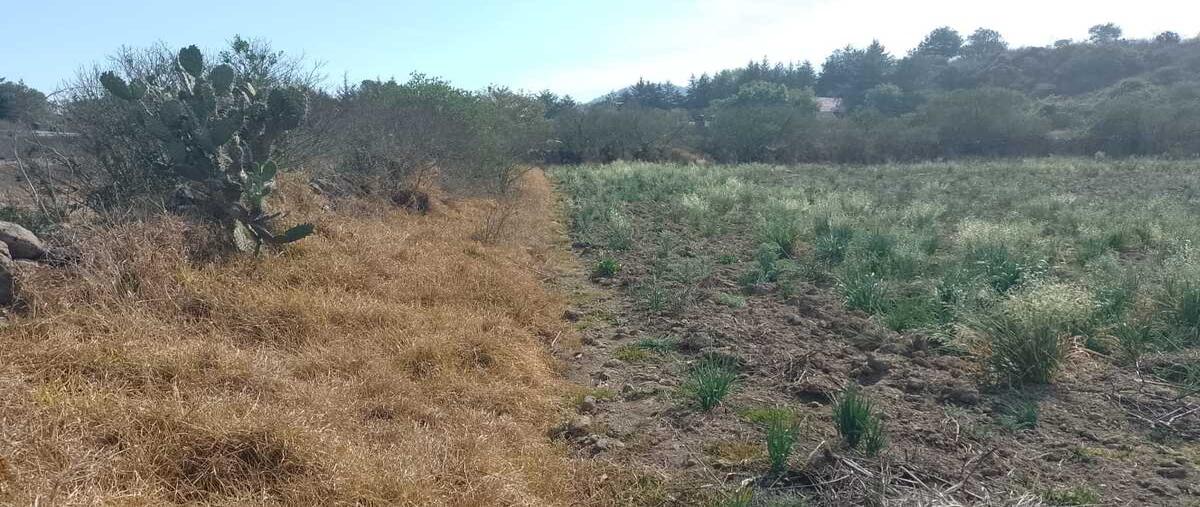 Foto de terreno habitacional en carretera patzcuaro erongaricuaro , huecorio, pátzcuaro, michoacán de ocampo, 0 foto 02 Foto de terreno habitacional en venta en carretera patzcuaro erongaricuaro , huecorio, pátzcuaro, michoacán de ocampo, 0 No. 02