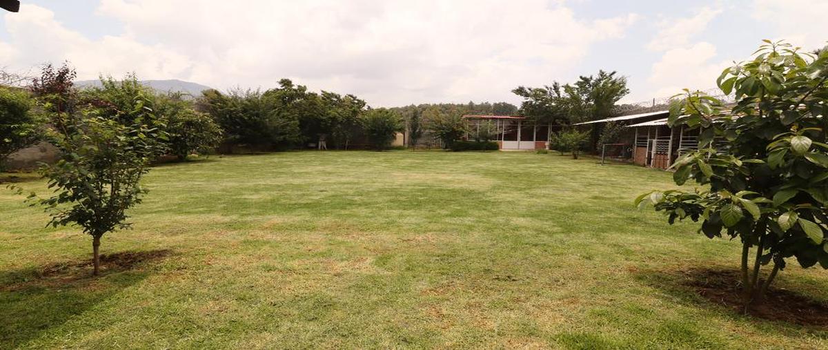 Foto de terreno habitacional en venta en carretera patzcuaro-cuanajo km1, pátzcuaro, pátzcuaro, michoacán de ocampo, 0 No. 05