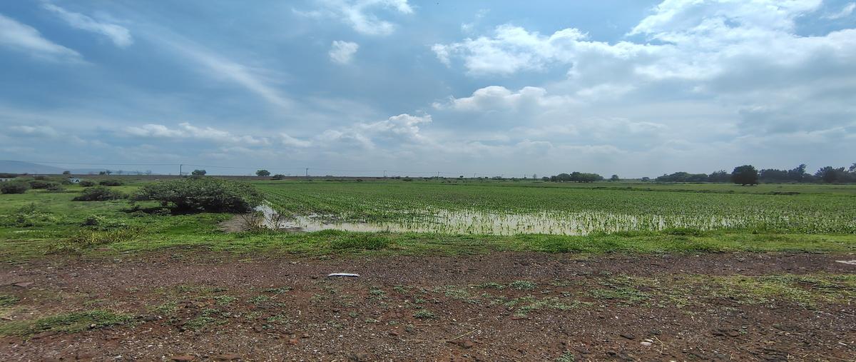 Foto de terreno habitacional en venta en carretera peñónjorobas , melchor ocampo centro, melchor ocampo, méxico, 29928438 No. 01