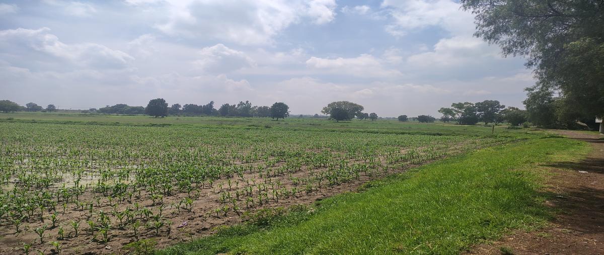 Foto de terreno habitacional en venta en carretera peñónjorobas , melchor ocampo centro, melchor ocampo, méxico, 29928438 No. 04