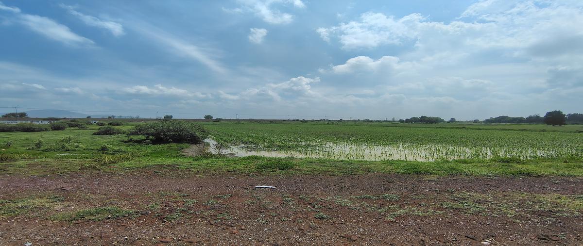 Foto de terreno habitacional en venta en carretera peñónjorobas , melchor ocampo centro, melchor ocampo, méxico, 29928438 No. 05