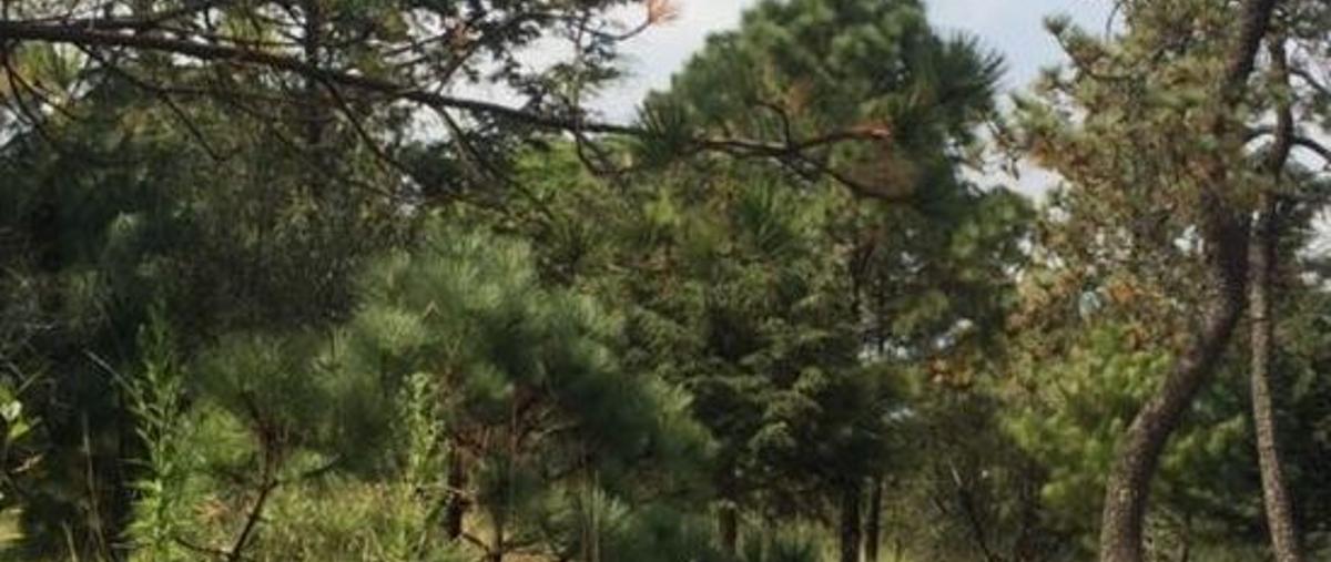 Foto de terreno habitacional en venta en carretera picacho ajusco , héroes de 1910, tlalpan, distrito federal, 5866443 No. 02
