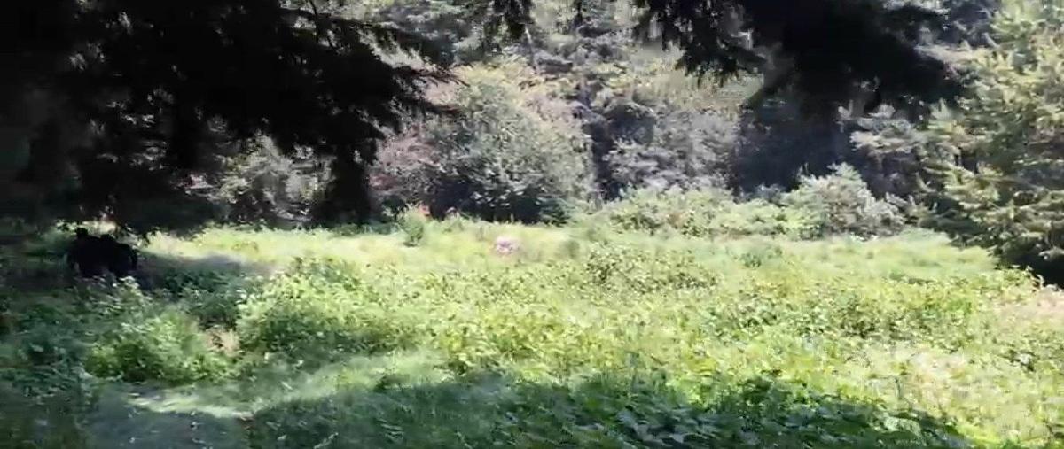 Foto de terreno habitacional en venta en carretera picacho - ajusco , santo tomas ajusco, tlalpan, df / cdmx, 30743341 No. 04