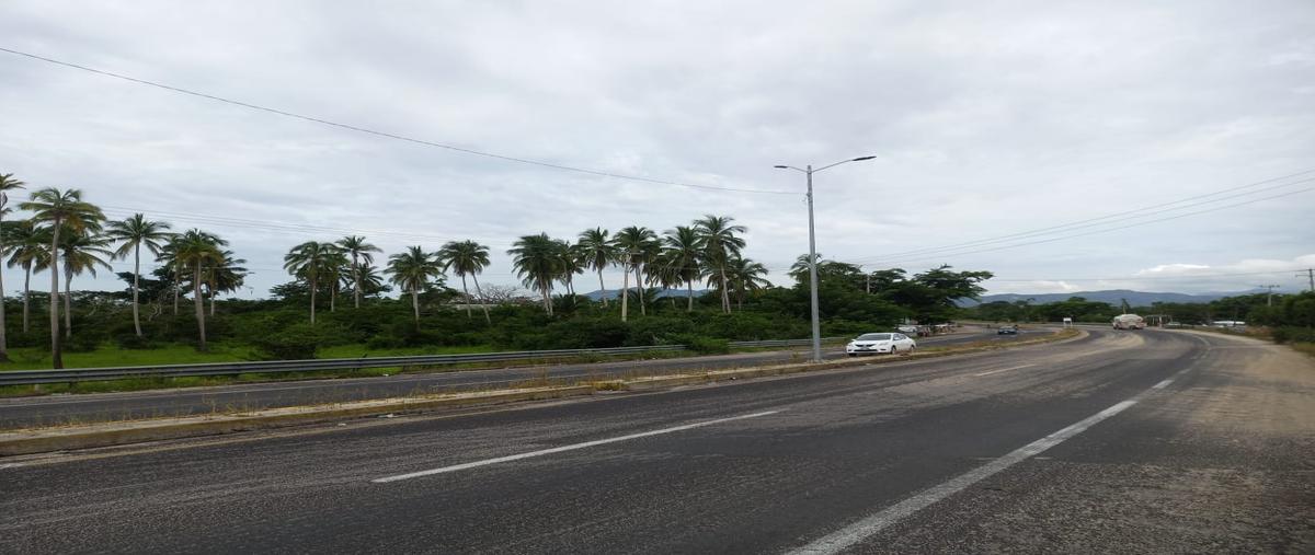 Foto de terreno habitacional en carretera pinotepa , san pedro de las playas, acapulco de juárez, guerrero, 28586701 foto 04 Foto de terreno habitacional en venta en carretera pinotepa , san pedro de las playas, acapulco de juárez, guerrero, 28586701 No. 04