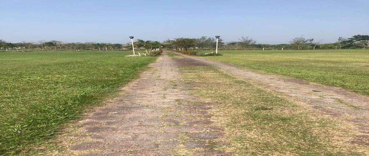 Foto de rancho en venta en carretera poza rica- san andrés , el tajín, papantla, veracruz de ignacio de la llave, 28174568 No. 03