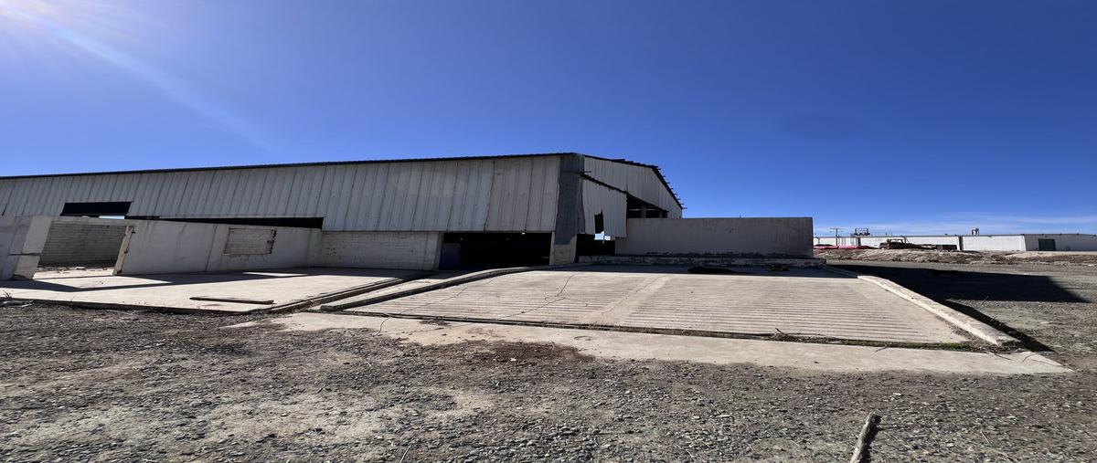 Foto de nave industrial en carretera principal tecate ensenada , el sauzal, ensenada, baja california, 29478223 foto 05 Foto de nave industrial en renta en carretera principal tecate ensenada , el sauzal, ensenada, baja california, 29478223 No. 05