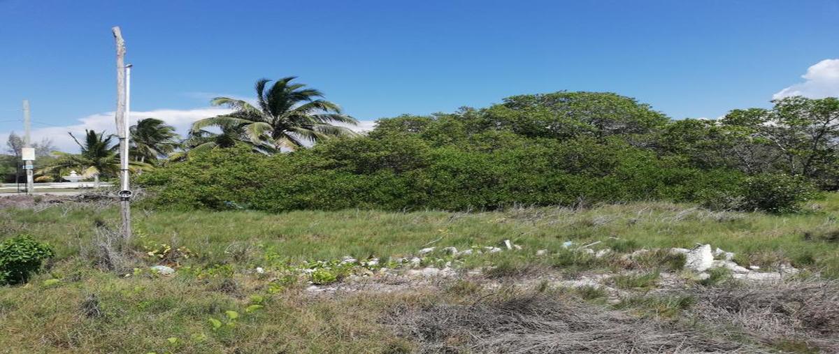 Foto de terreno comercial en venta en carretera progreso-telchac kilometro 15, chicxulub puerto, progreso, yucatán, 0 No. 03