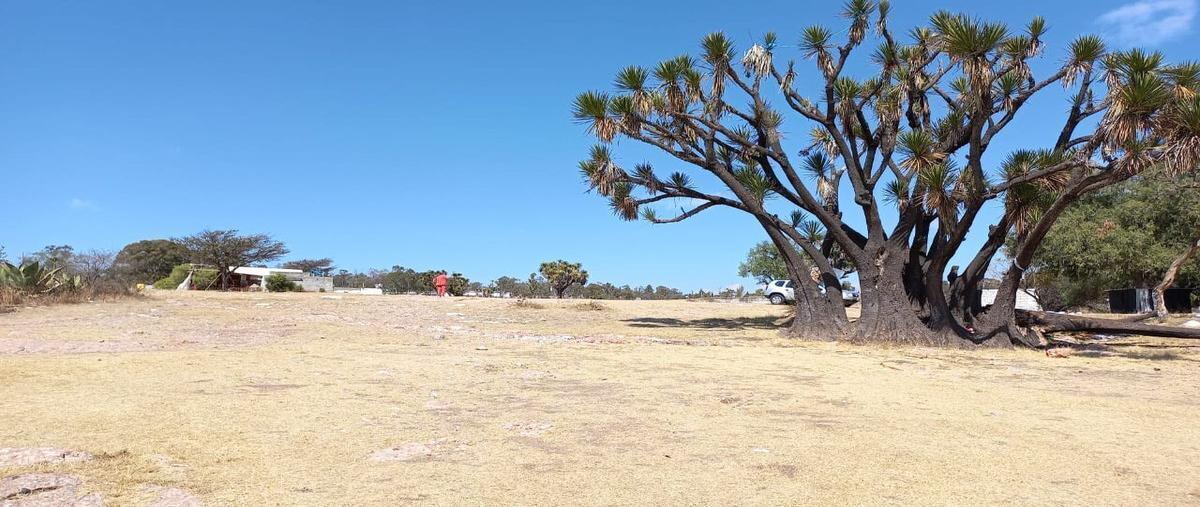 Foto de terreno habitacional en carretera puebla valsequillo l2 , guadalupe victoria valsequillo, puebla, puebla, 25388354 foto 03 Foto de terreno habitacional en venta en carretera puebla valsequillo l2 , guadalupe victoria valsequillo, puebla, puebla, 25388354 No. 03