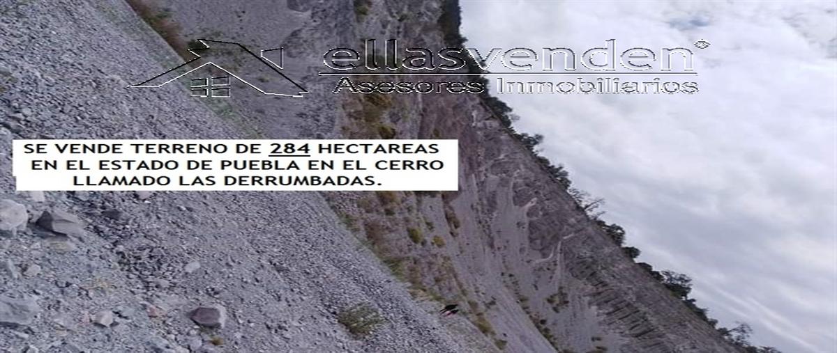 Foto de terreno habitacional en venta en carretera puebla-xalapa 0, guadalupe victoria, guadalupe victoria, puebla, 28010164 No. 04