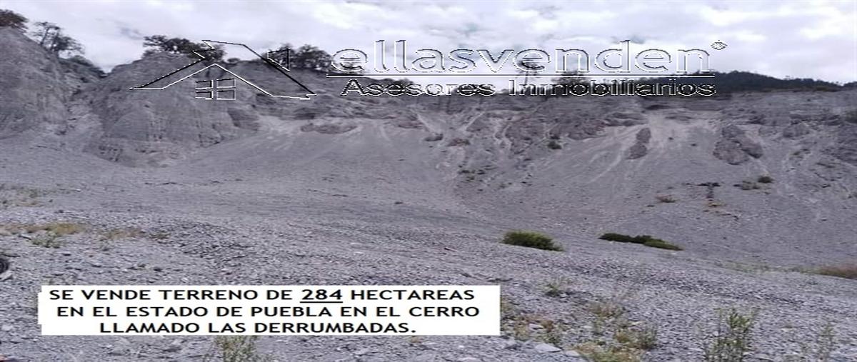 Foto de terreno habitacional en venta en carretera puebla-xalapa 0, guadalupe victoria, guadalupe victoria, puebla, 28010164 No. 05