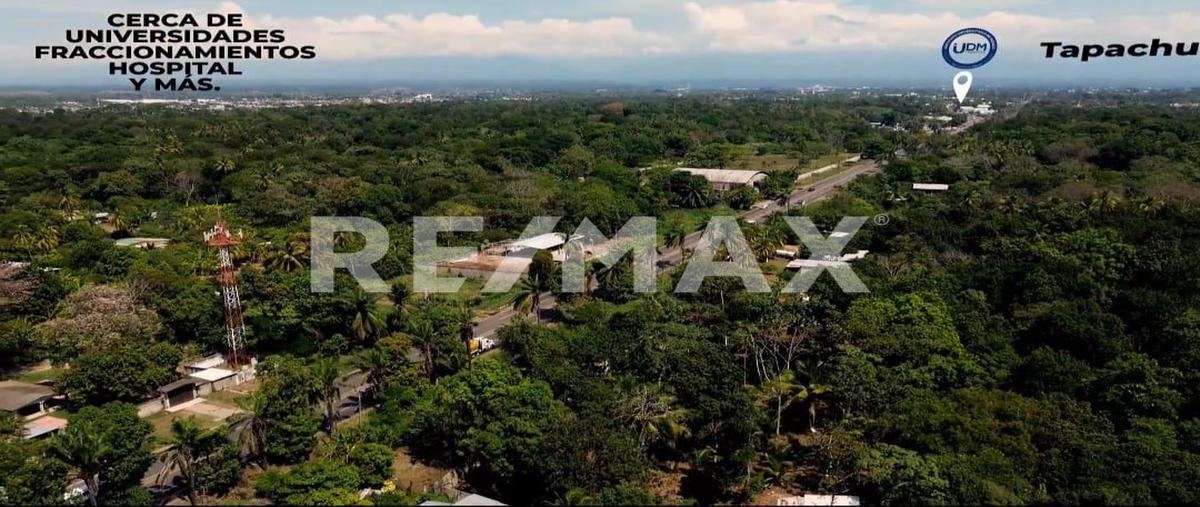 Foto de terreno comercial en venta en carretera puerto madero kilometro 8 , llano de la lima, tapachula, chiapas, 0 No. 03