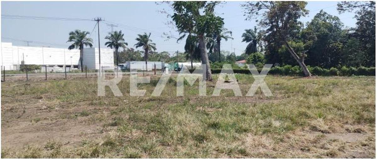 Foto de terreno comercial en venta en carretera puerto madero kilometro 8 , llano de la lima, tapachula, chiapas, 0 No. 04