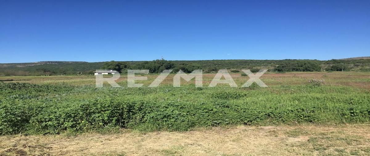 Foto de terreno comercial en venta en carretera qro - san luis potosí , santa elena, san josé iturbide, guanajuato, 0 No. 05
