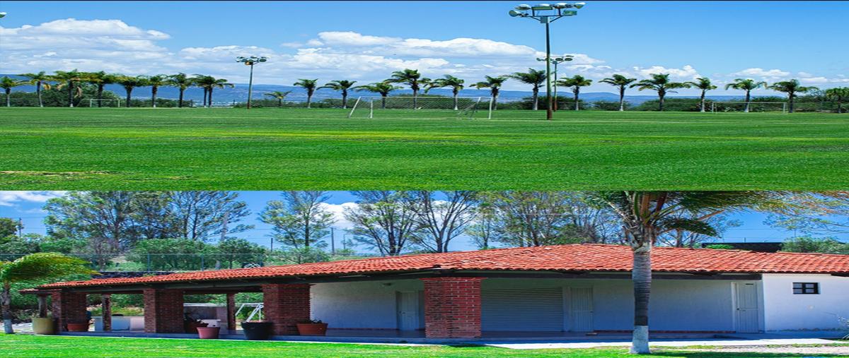 Foto de terreno habitacional en venta en carretera querétaro , chichimequillas, el marqués, querétaro, 30425487 No. 04