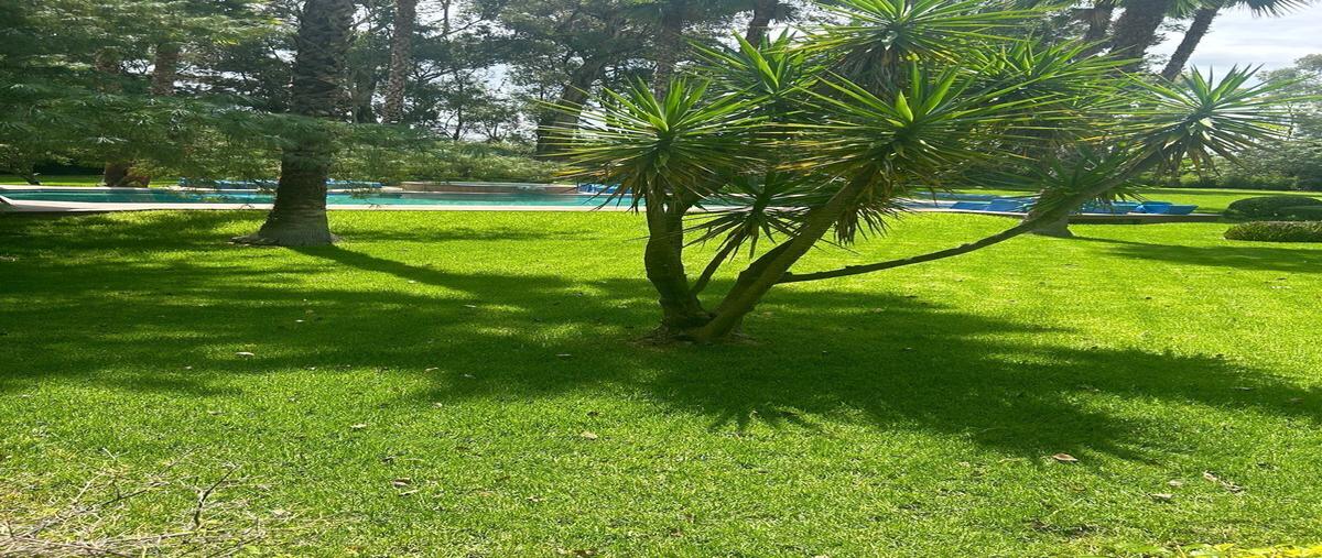 Foto de rancho en venta en carretera queretaro- san miguel , aurora, san miguel de allende, guanajuato, 29400693 No. 04