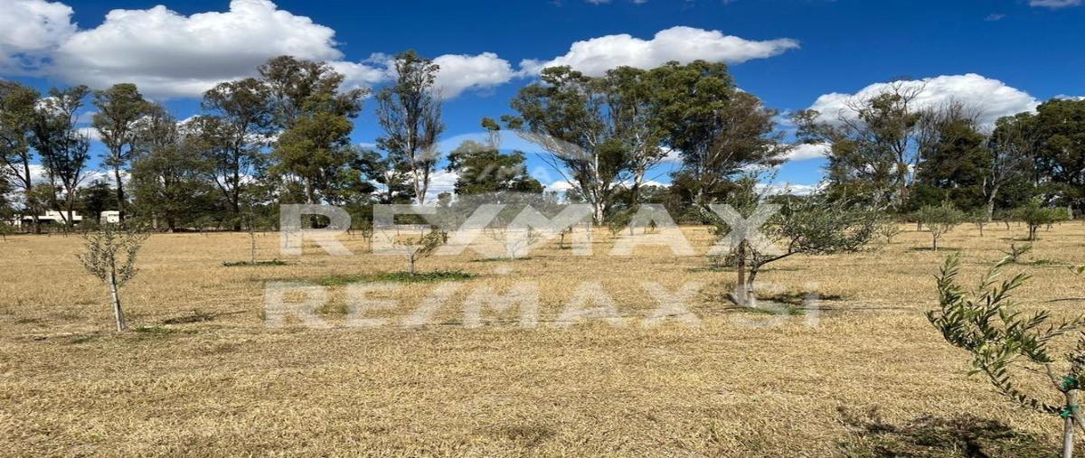 Foto de terreno habitacional en venta en carretera queretaro-san miguel de allende , san lucas, san miguel de allende, guanajuato, 0 No. 05