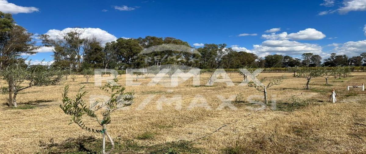 Foto de terreno habitacional en venta en carretera querétaro-san miguel de allende , san lucas, san miguel de allende, guanajuato, 0 No. 03