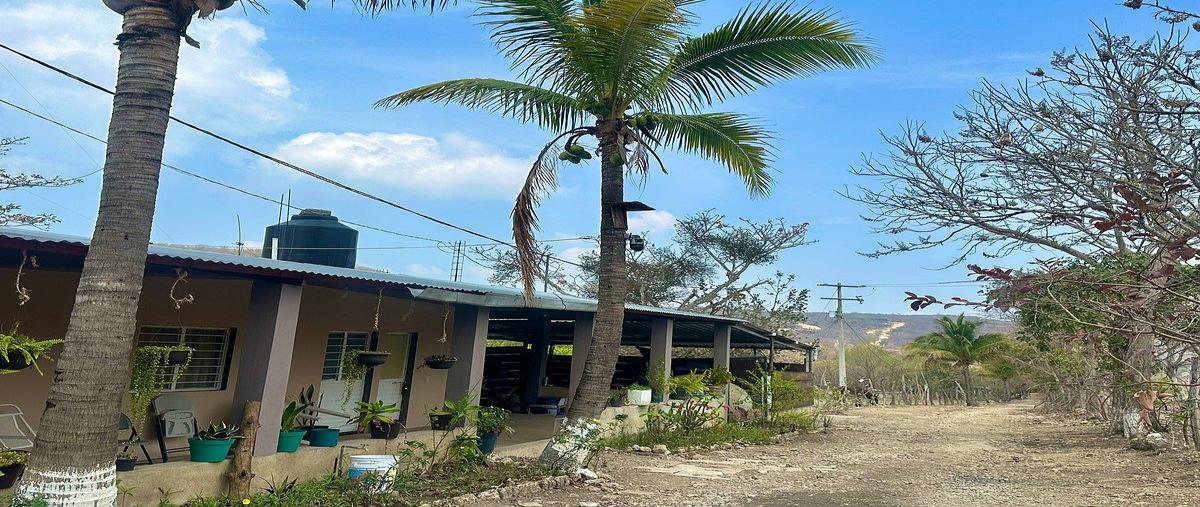 Foto de terreno habitacional en carretera raymundo enrique , terán, tuxtla gutiérrez, chiapas, 0 foto 04 Foto de terreno habitacional en venta en carretera raymundo enrique , terán, tuxtla gutiérrez, chiapas, 0 No. 04