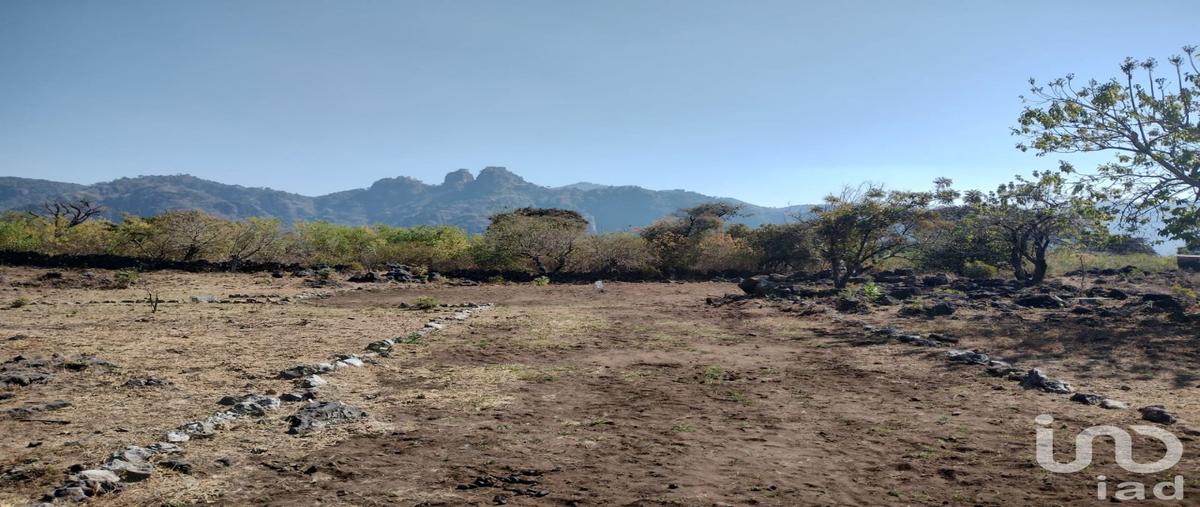 Foto de terreno habitacional en venta en carretera real a santo domingo ocotitlán 139, santo domingo ocotitlán, tepoztlán, morelos, 28720620 No. 03