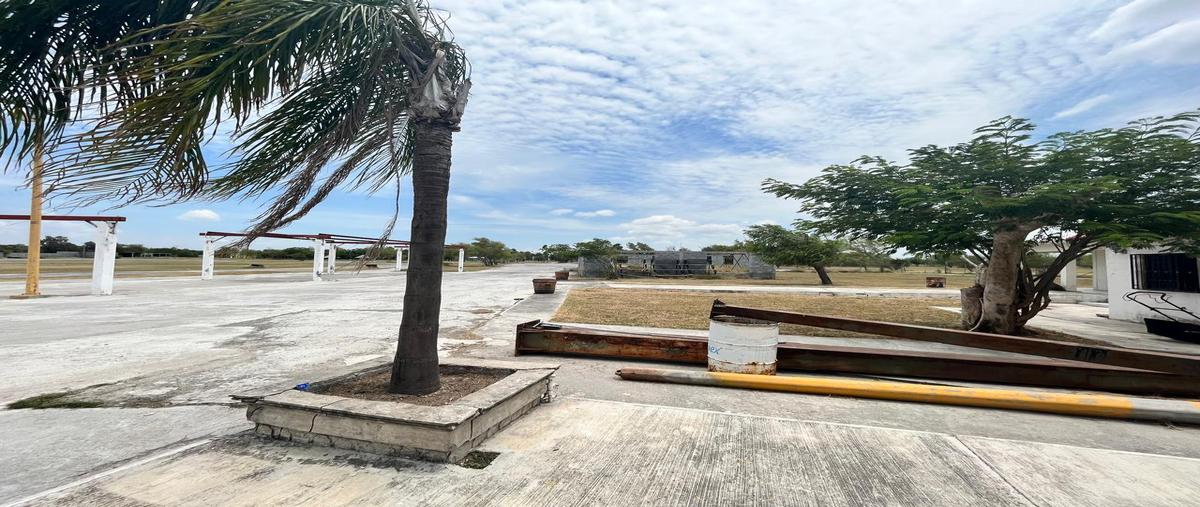 Foto de rancho en carretera ribereña , anzaldúas (estación anzaldúas), reynosa, tamaulipas, 29039881 foto 03 Foto de rancho en venta en carretera ribereña , anzaldúas (estación anzaldúas), reynosa, tamaulipas, 29039881 No. 03