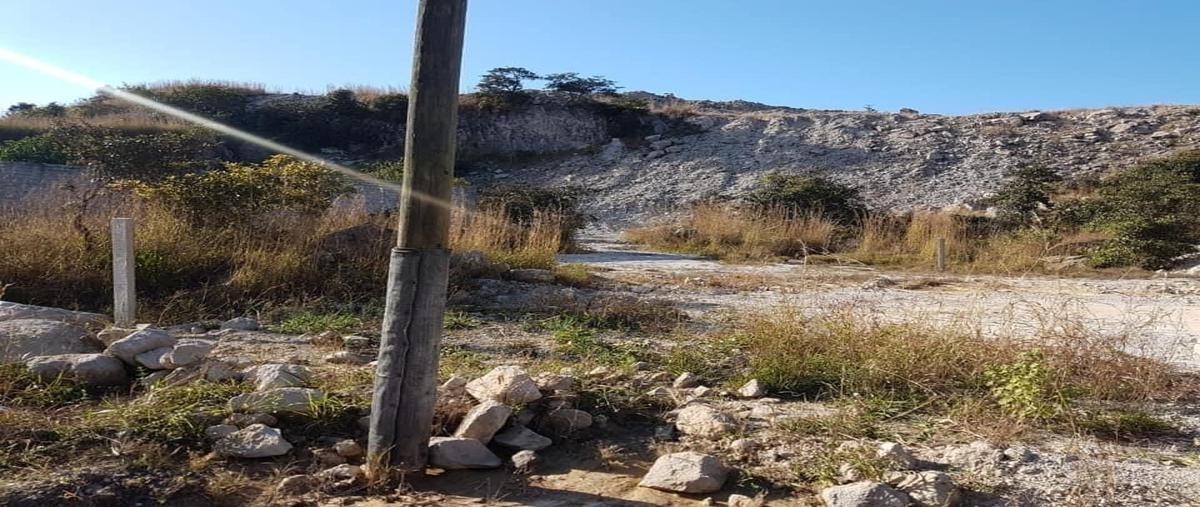 Foto de terreno habitacional en venta en carretera rumbo a mora , cantera del nayar, tepic, nayarit, 18693422 No. 02