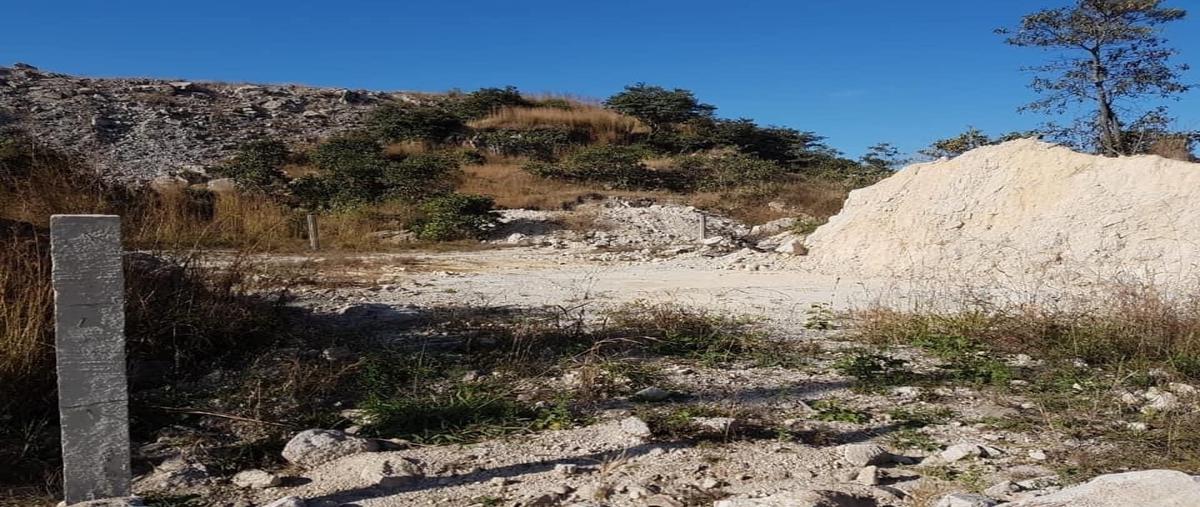 Foto de terreno habitacional en venta en carretera rumbo a mora , cantera del nayar, tepic, nayarit, 18693422 No. 03