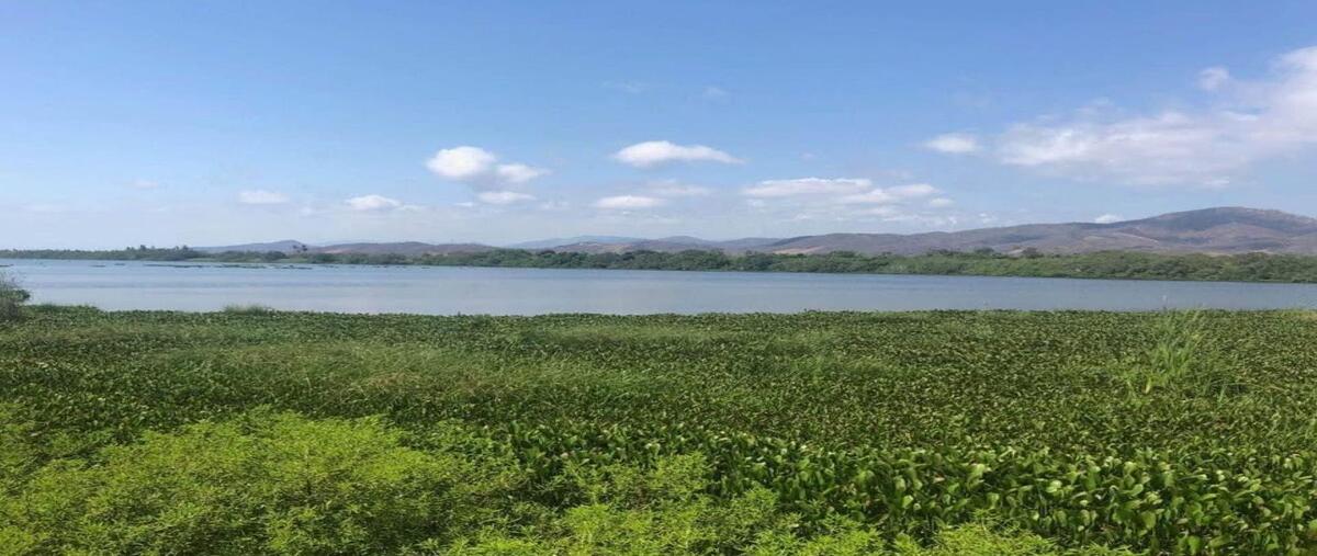 Foto de terreno habitacional en venta en carretera rural el zapote – el dorado , el zapote, coyuca de benítez, guerrero, 30424492 No. 03