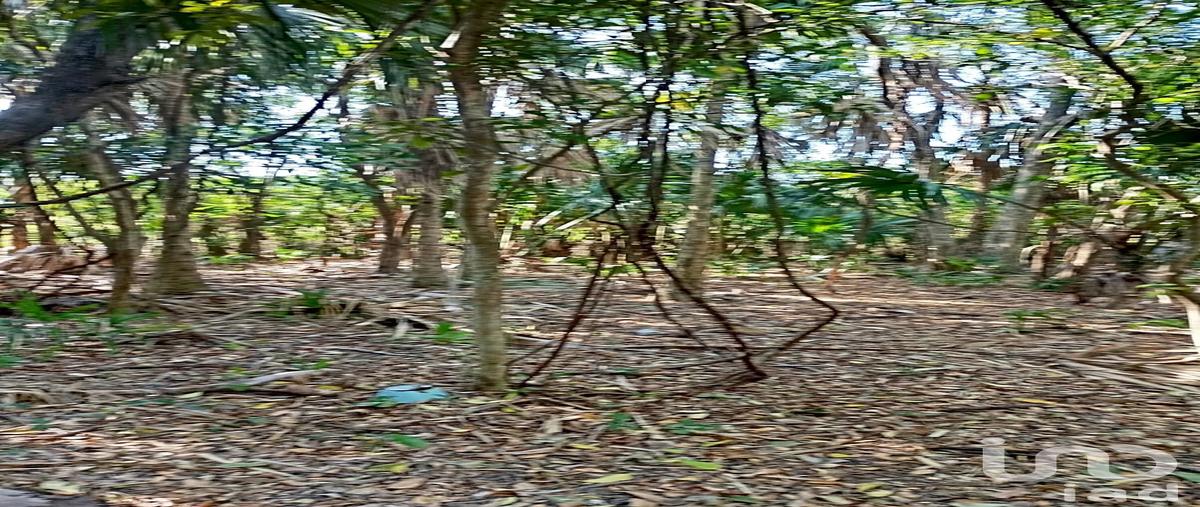 Foto de terreno comercial en venta en carretera sabancuy entrada en camino a cruz 97, sabancuy centro, carmen, campeche, 29760961 No. 03