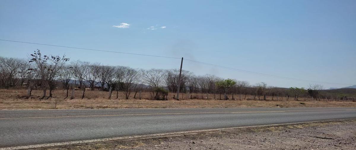 Foto de terreno habitacional en carretera salado a tabala , el salado, culiacán, sinaloa, 25257063 foto 02 Foto de terreno habitacional en venta en carretera salado a tabala , el salado, culiacán, sinaloa, 25257063 No. 02
