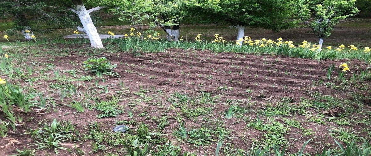 Foto de rancho en carretera san antonio de las alazanas (coahuila 112) kilometro 32 s/n santa anita del peñasco25370 arteagacoah. , san antonio de las alazanas, arteaga, coahuila de zaragoza, 0 foto 05 Foto de rancho en venta en carretera san antonio de las alazanas (coahuila 112) kilometro 32 s/n santa anita del peñasco25370 arteagacoah. , san antonio de las alazanas, arteaga, coahuila de zaragoza, 0 No. 05