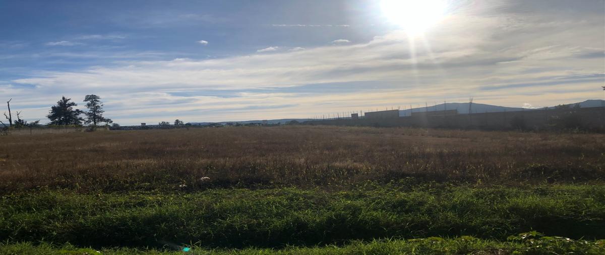 Foto de terreno comercial en venta en carretera san cayetano , san cayetano, tepic, nayarit, 18744241 No. 02