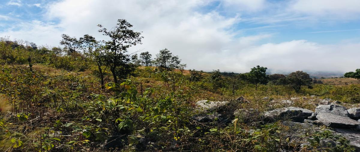 Foto de terreno habitacional en venta en carretera san cristóbal-tuxtla , zacualpan de ecatepec, san cristóbal de las casas, chiapas, 30120531 No. 03