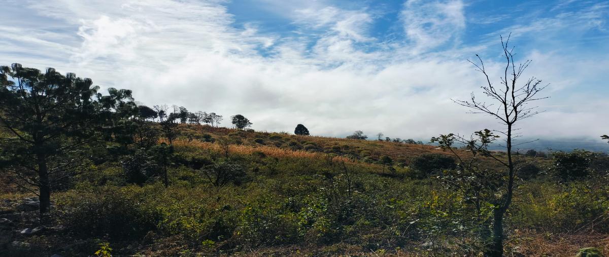 Foto de terreno habitacional en venta en carretera san cristóbal-tuxtla , zacualpan de ecatepec, san cristóbal de las casas, chiapas, 30120532 No. 03