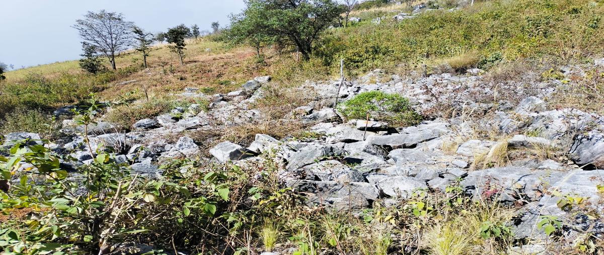 Foto de terreno habitacional en venta en carretera san cristóbal-tuxtla , zacualpan de ecatepec, san cristóbal de las casas, chiapas, 30120532 No. 04