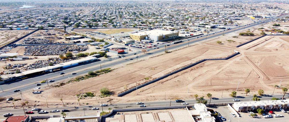 Foto de terreno comercial en carretera san felipe kilometro 2.4 , dos división dos, mexicali, baja california, 26813396 foto 09 Foto de terreno comercial en renta en carretera san felipe kilometro 2.4 , dos división dos, mexicali, baja california, 26813396 No. 09