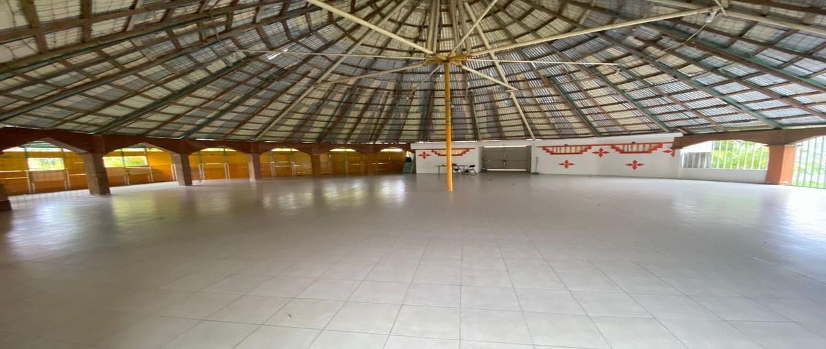 Foto de terreno habitacional en venta en carretera san fernando , rivera el progreso, san fernando, chiapas, 24575638 No. 04