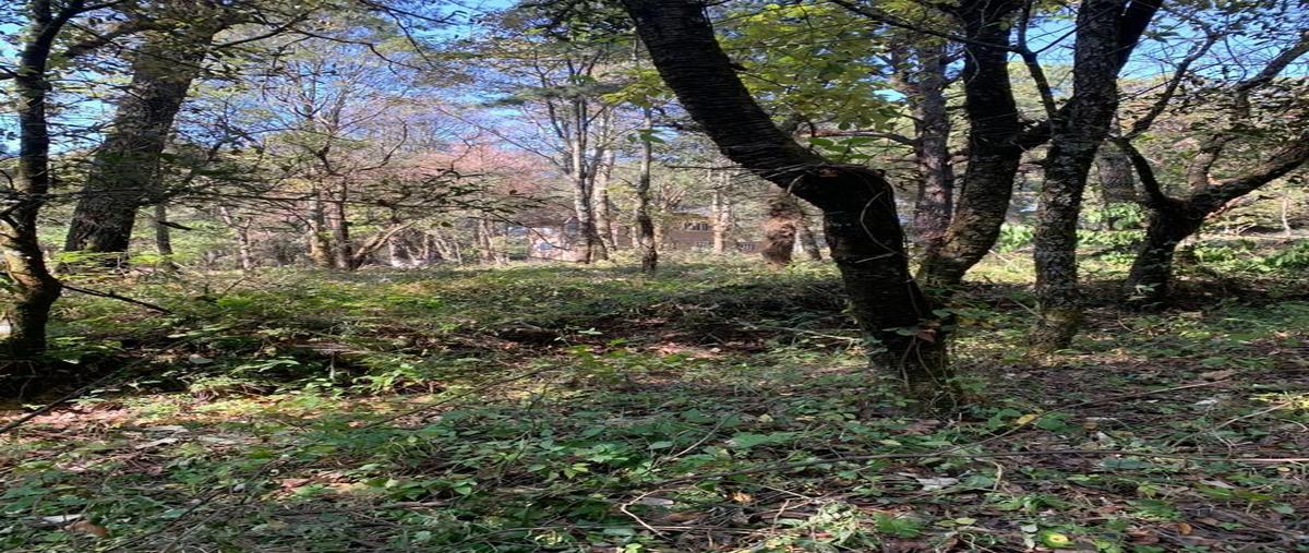 Foto de terreno habitacional en venta en carretera san gregorio-oaxtepec , tlalnepantla, tlalnepantla, morelos, 0 No. 05